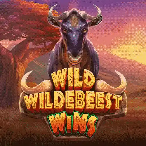 Wild Wildebeest Wins